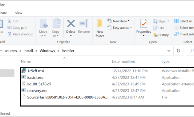 Clipper Malware  installed through pirated Windows 10 ISOs